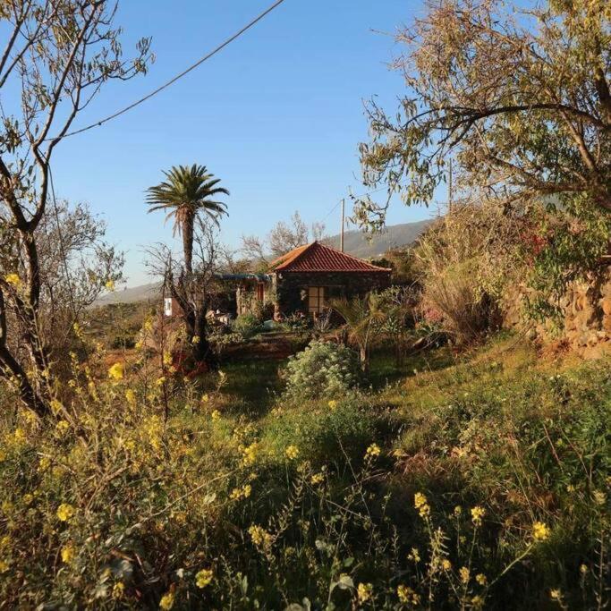 Casita En El Campo Con Vista Al Oceano Villa Tijarafe Eksteriør bilde