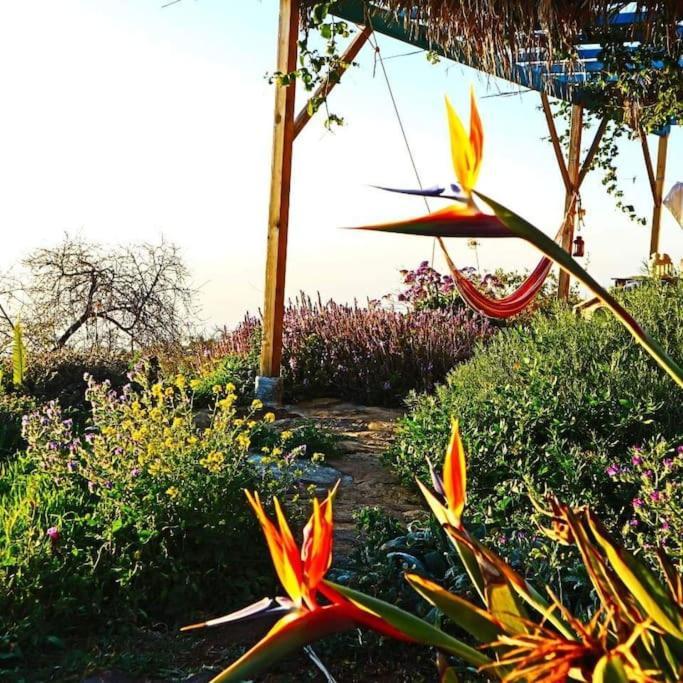 Casita En El Campo Con Vista Al Oceano Villa Tijarafe Eksteriør bilde